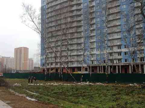 Удаление деревьев целиком в Москве