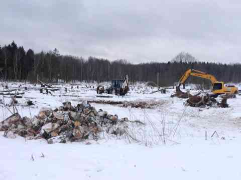 Расчистка от порубочных остатков лесного массива