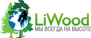 Liwood.ru