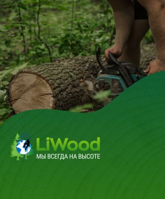 Болезни фруктовых деревьев и их лечение