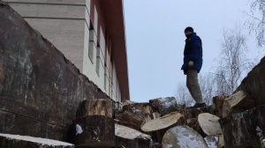 Способы валки деревьев