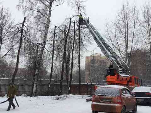 Удаление деревьев с автовышки