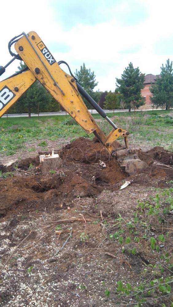 Корчевание пней на участке в Москве и области, цены на выкорчевку пня
