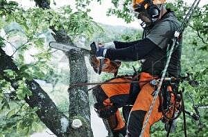 Удаление деревьев целиком