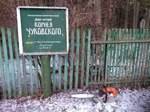Спил деревьев
