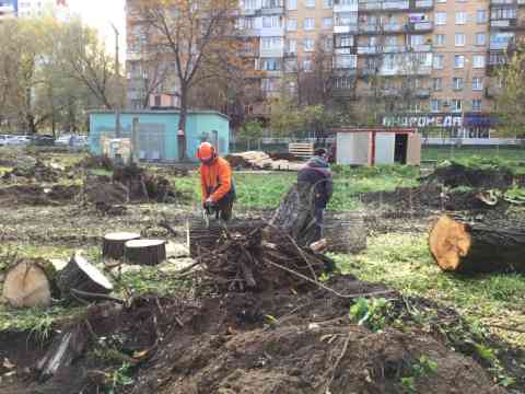 Удаление корней деревьев и распиловка ствола