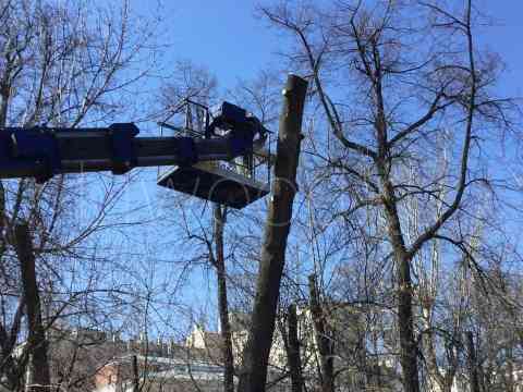 Удаление деревьев частями с автокрана в Подмосковье