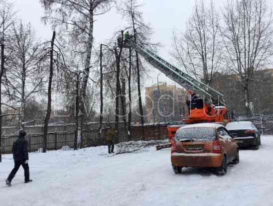 Обрезка и кронирование деревьев