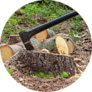 Удаление пней