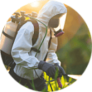 Обработка участка от клещей