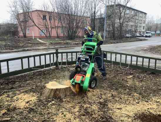 Удаление пней